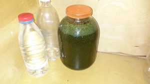 IMG_20160213_182847